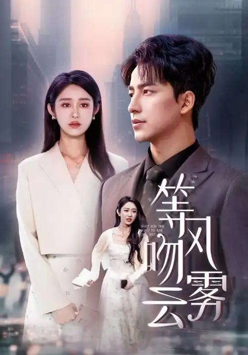 雾港回声 热播电视剧全集手机免费在线观看