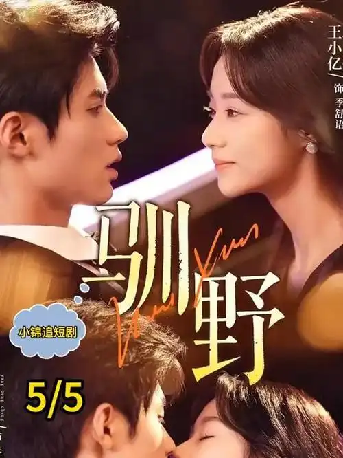 长夜灯火 热播电视剧全集免费在线观看